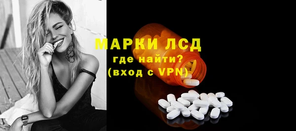 мдпв Магас