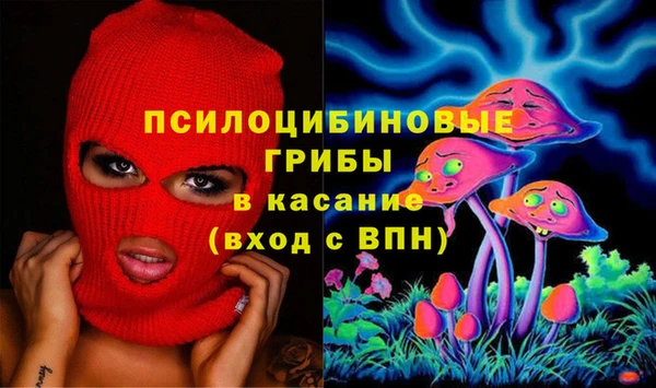 мдпв Магас