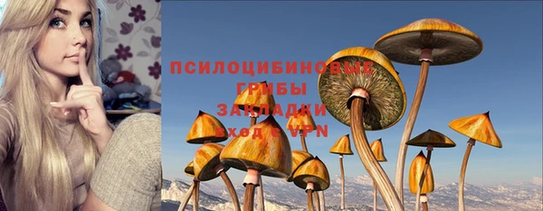мдпв Магас
