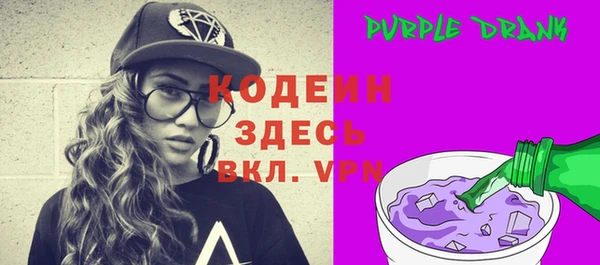 мдпв Магас