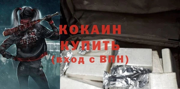 мдпв Магас