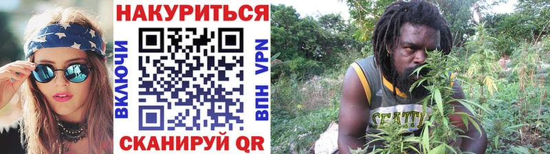 Купить закладки  Мензелинск  Каннабис сатива 